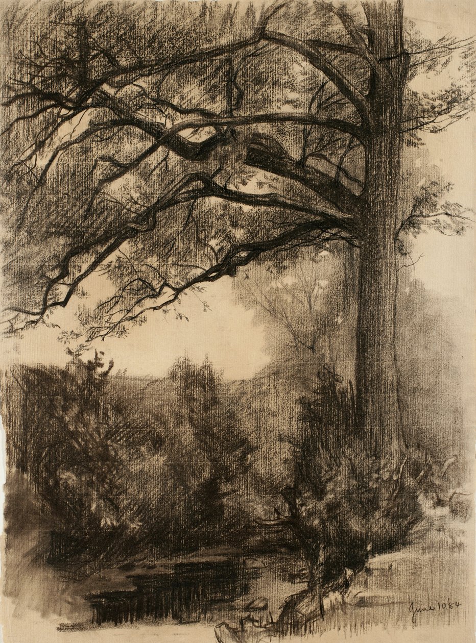 Krajina s velkým stromem, 1884 (uhlí na leštěném papíře) od Samuel Isham