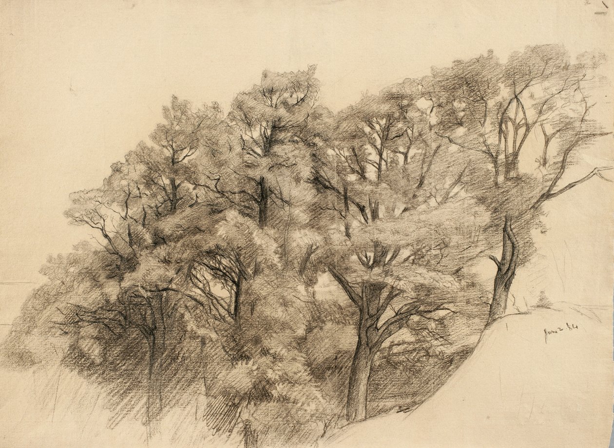 Krajina se stromy, 1884 (uhlí na leštěném papíře) od Samuel Isham