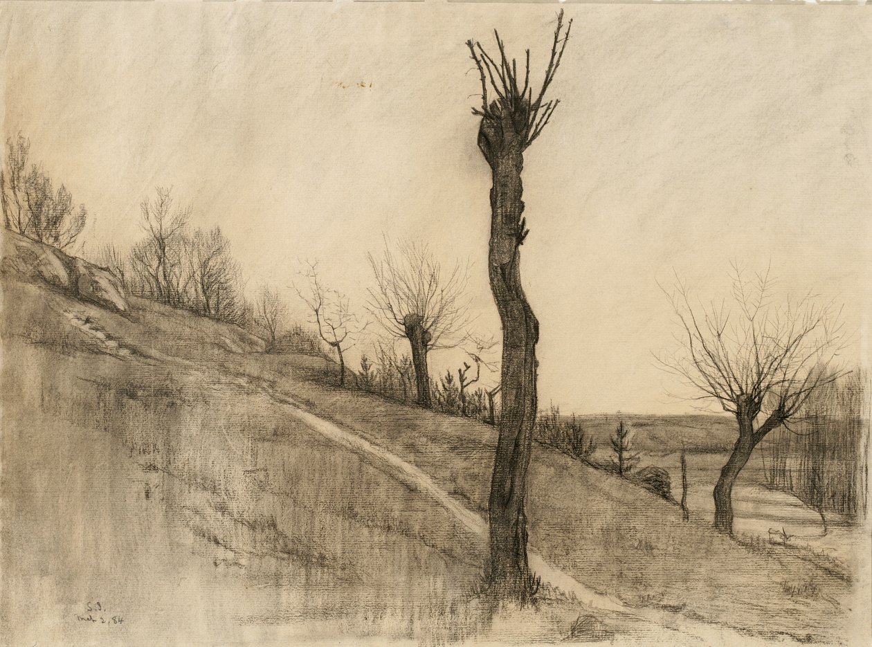 Pozdní zimní krajina, 1884 (uhlí na leštěném papíře) od Samuel Isham