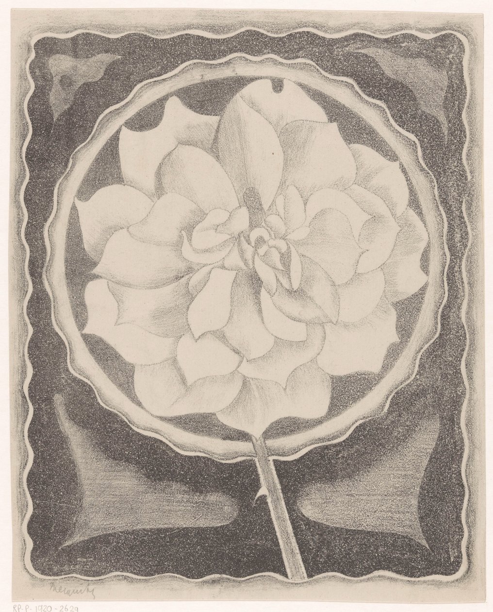 Roos od Samuel Jessurun de Mesquita (signed by artist)