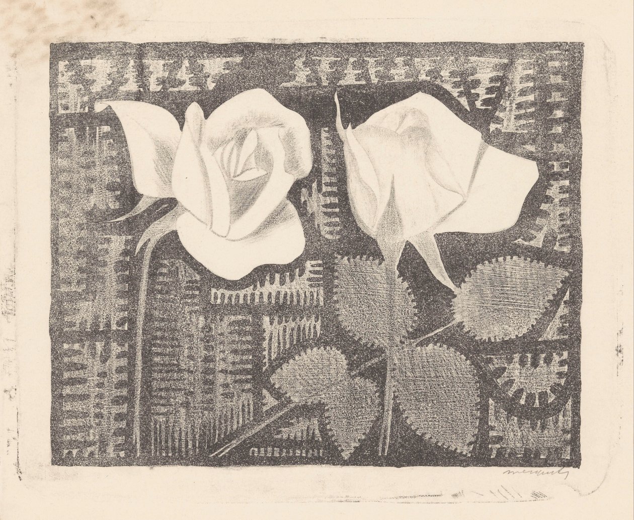 Dvě růže od Samuel Jessurun de Mesquita (signed by artist)