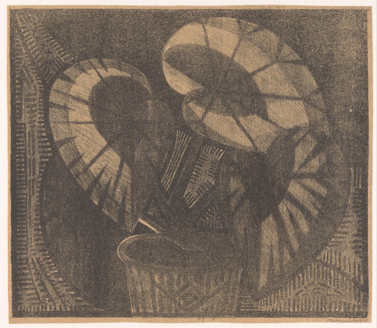 Bladbegonia od Samuel Jessurun de Mesquita