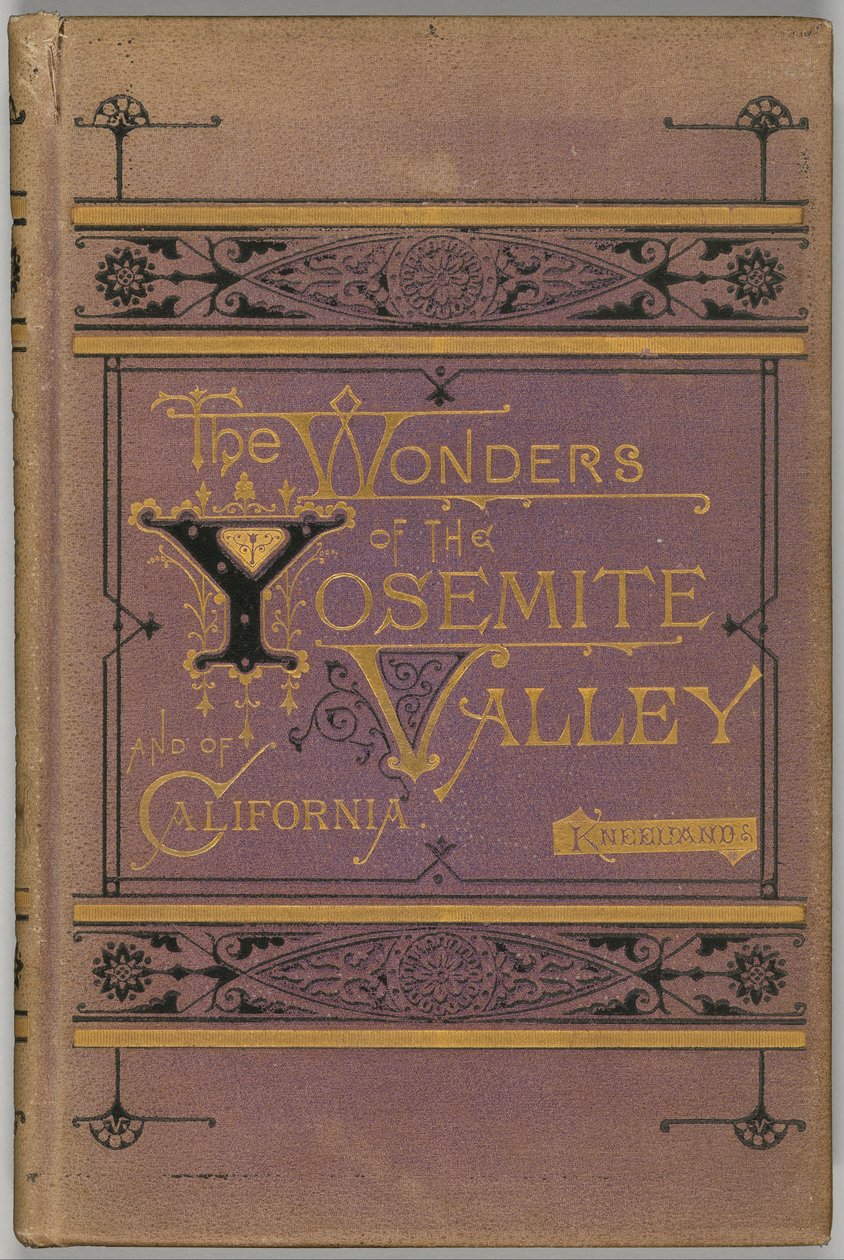 Divy údolí Yosemite a Kalifornie od Samuel Kneeland