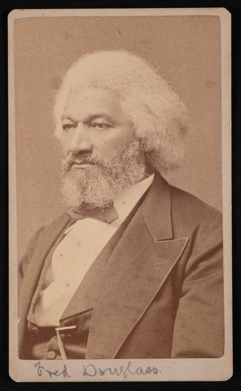 Portrét Fredericka Douglasse 1817-1895, 1878. od Samuel Montague Fassett