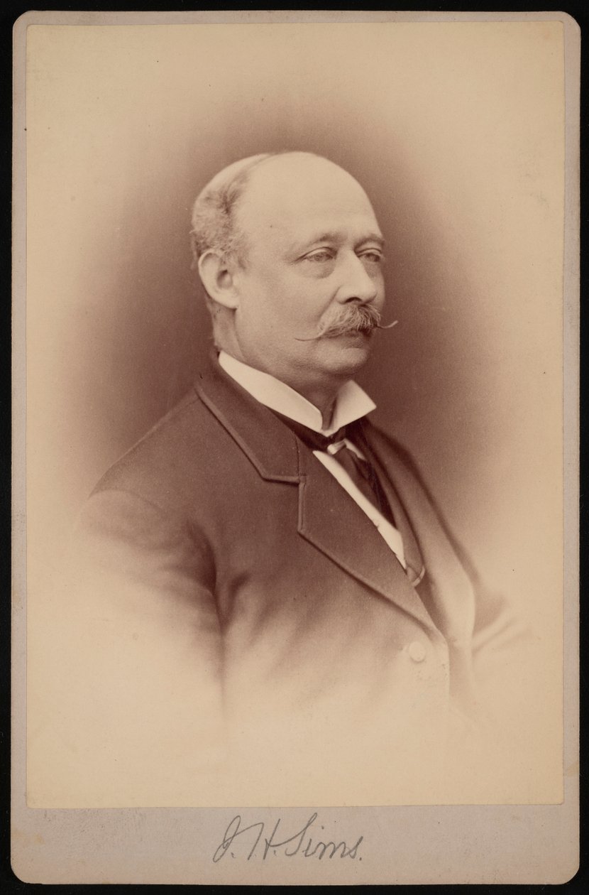 Portrét J.H. Sims, mezi 1876 a 1880. od Samuel Montague Fassett