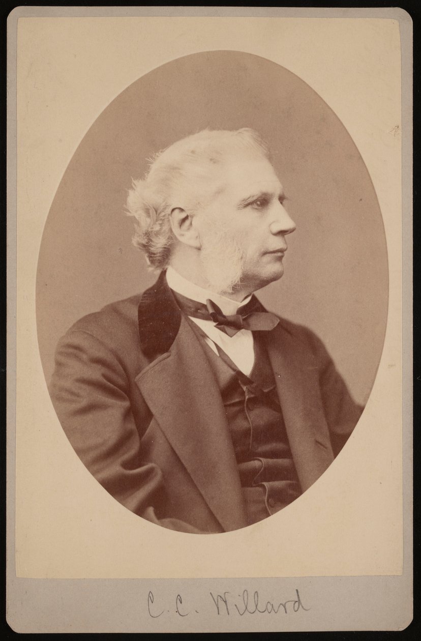 Portrét Josepha Clappa Willarda 1820-1897, 1878. od Samuel Montague Fassett
