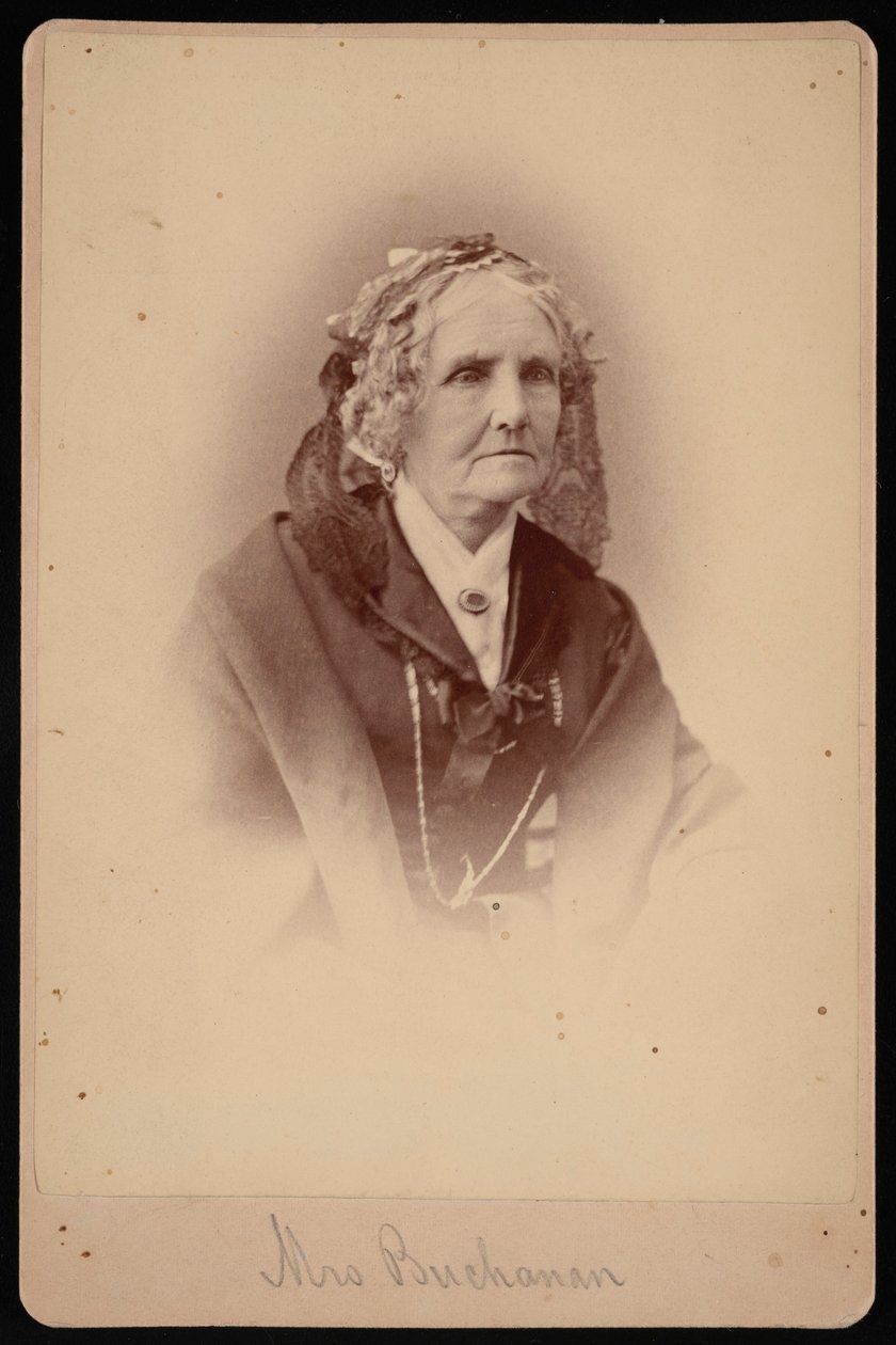 Portrét paní Buchananové, 1875. od Samuel Montague Fassett