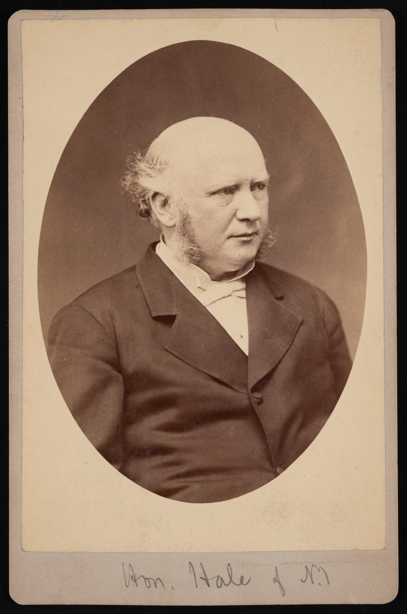 Portrét Roberta Safforda Halea 1822-1881, před rokem 1881. od Samuel Montague Fassett