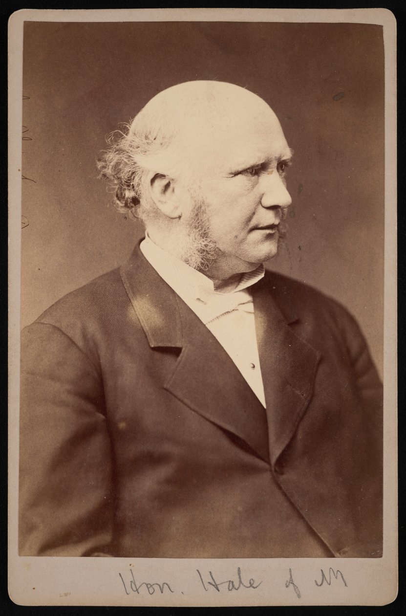 Portrét Roberta Safforda Halea 1822-1881, před rokem 1881. od Samuel Montague Fassett