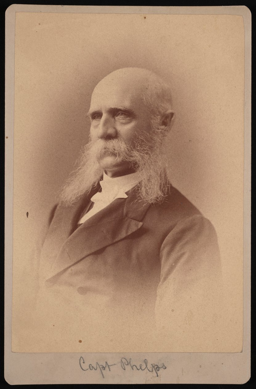 Portrét Setha Ledyarda Phelpse 1824-1885, 1878. od Samuel Montague Fassett
