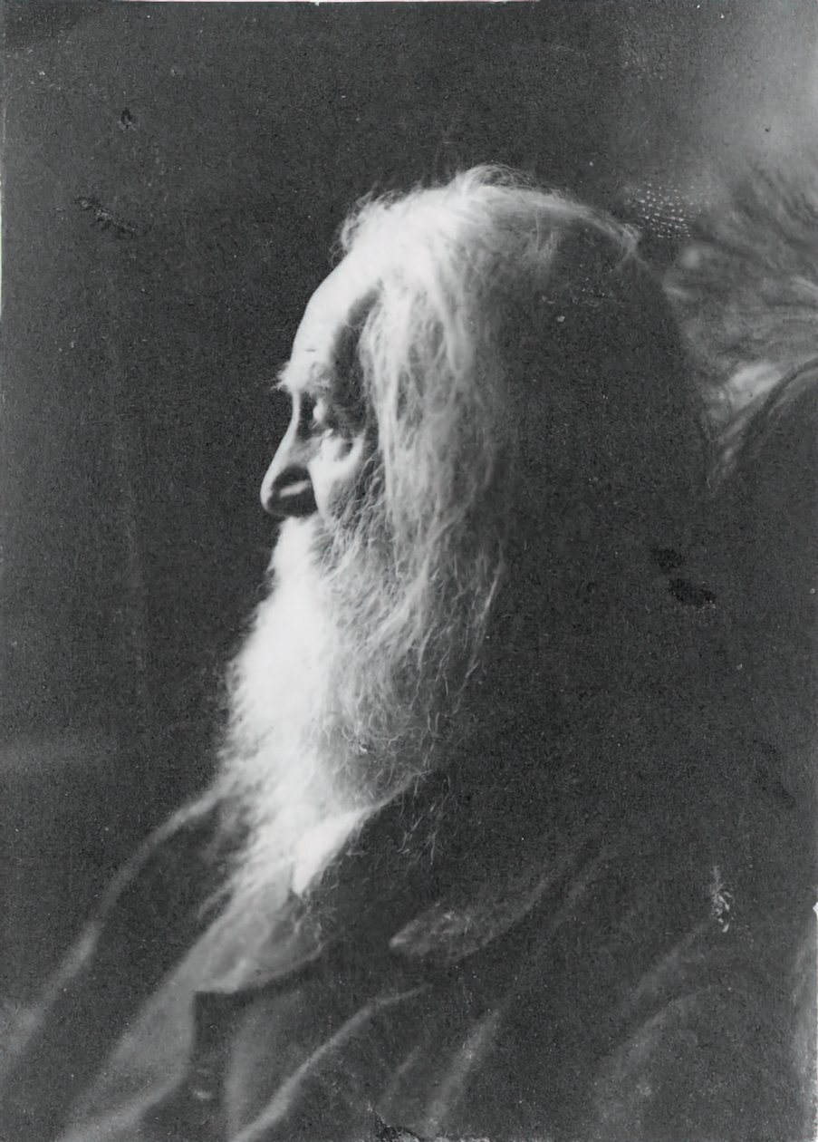 Walt Whitman v Camdenu, NJ, c. 1891. od Samuel Murray
