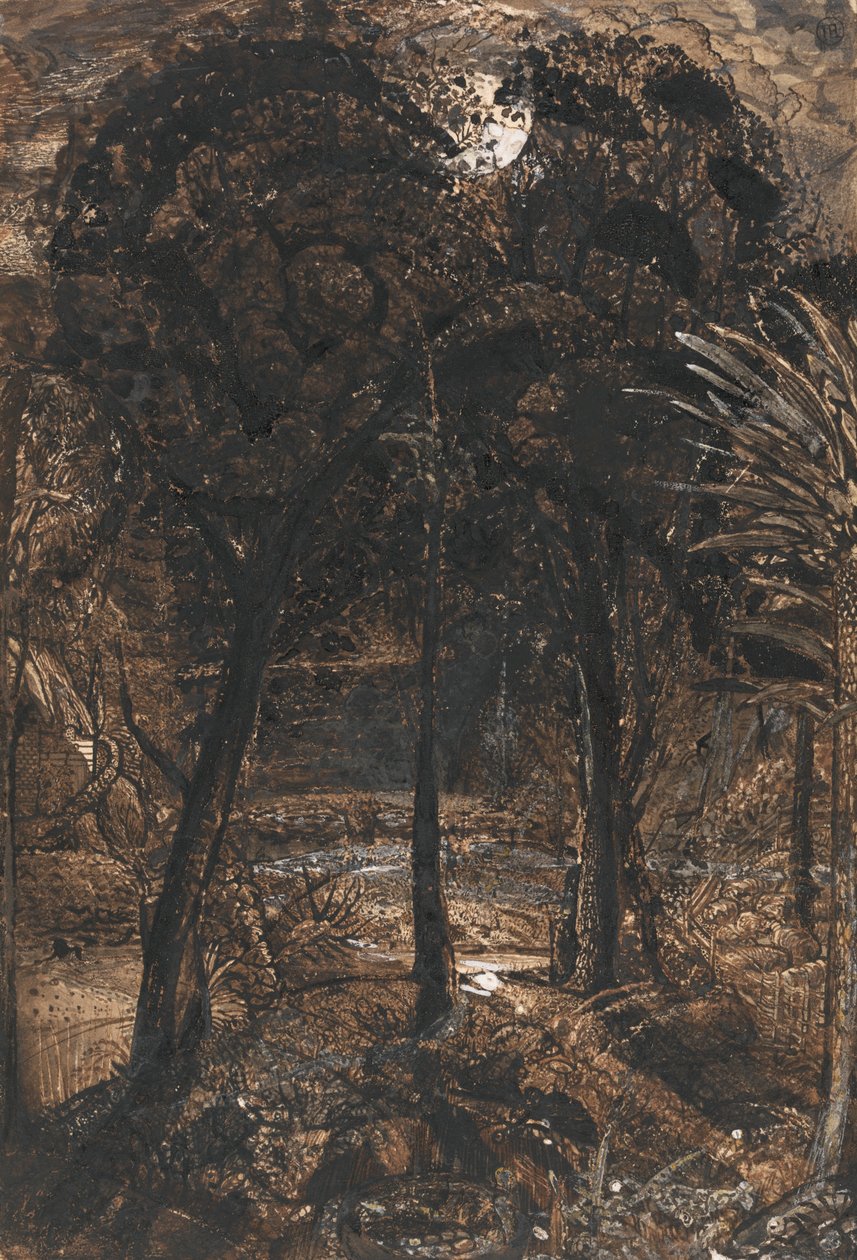 Měsíčně osvětlená scéna s klikatou řekou od Samuel Palmer