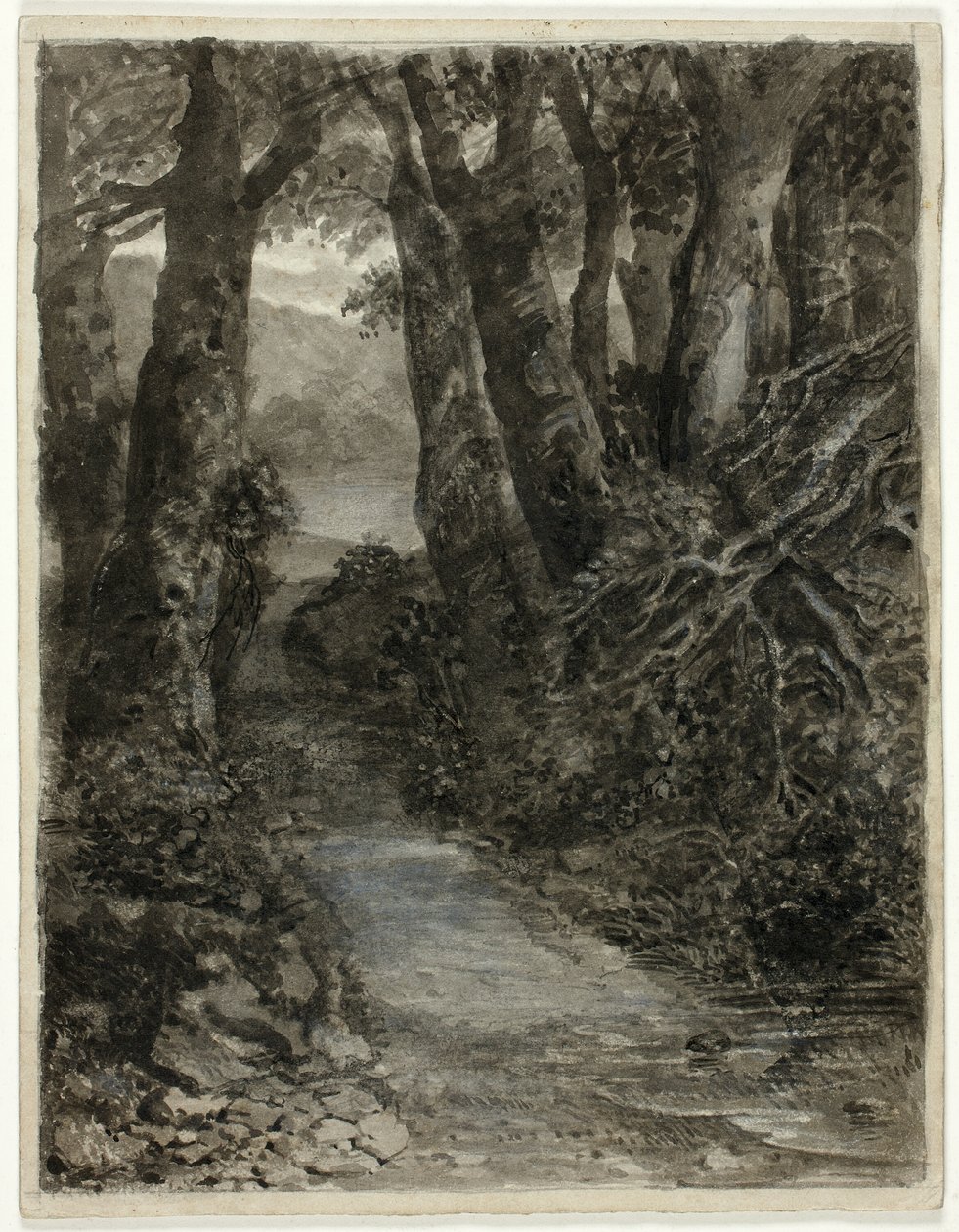 Studie lesa od Samuel Palmer