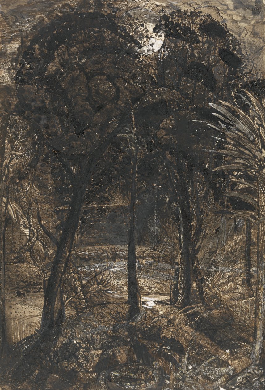 Měsíčně osvětlená scéna s klikatící se řekou od Samuel Palmer