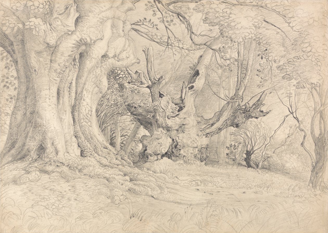 Starověké stromy, Lullingstone Park od Samuel Palmer