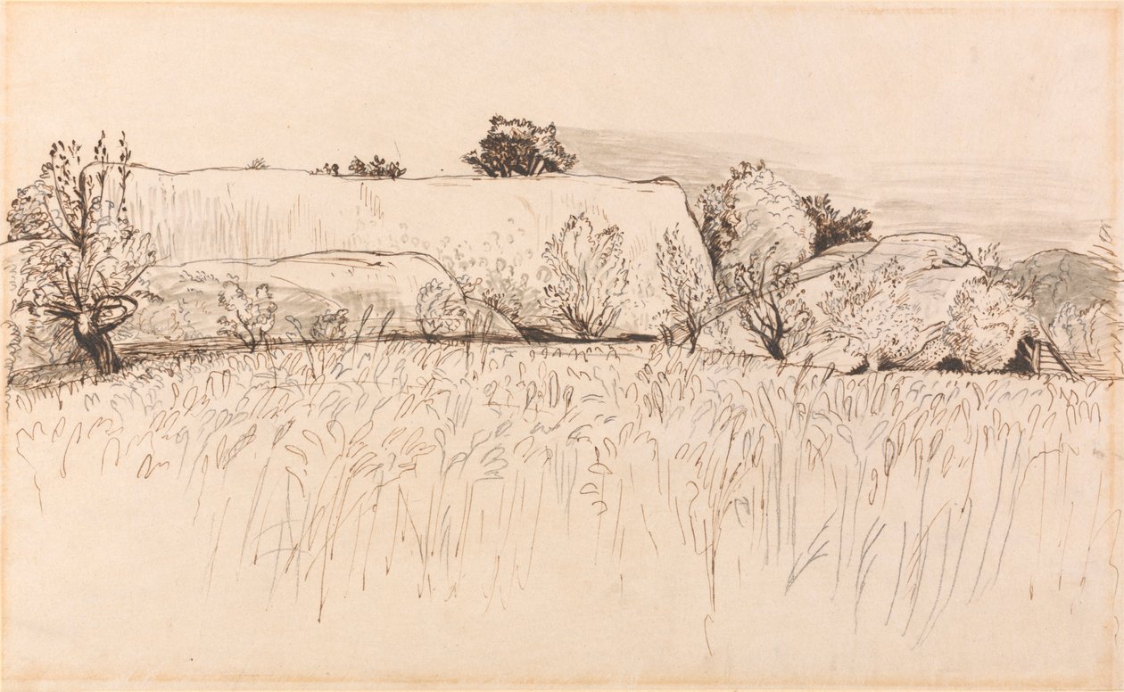 Kukuřičná pole se Stodolou, Shoreham od Samuel Palmer