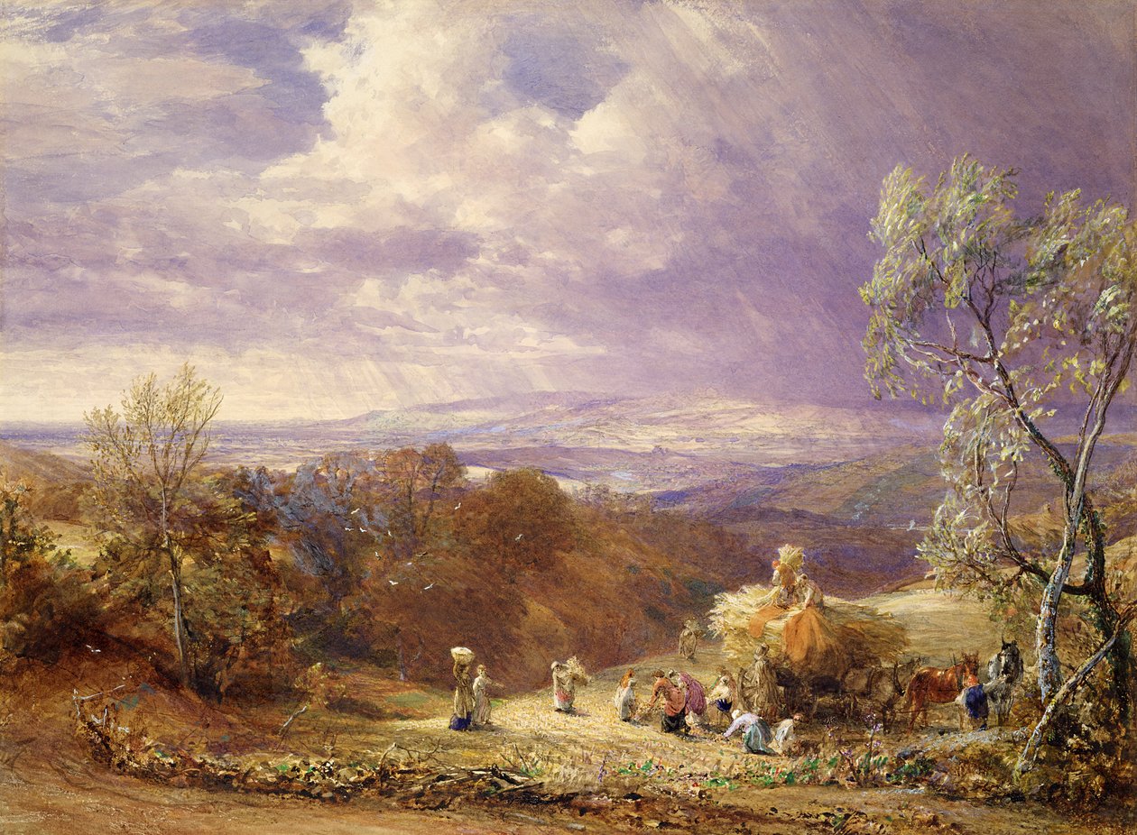 Sklizeň (wc a barva karoserie na papíře) od Samuel Palmer