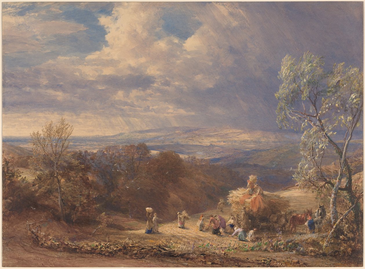 Sklizeň od Samuel Palmer
