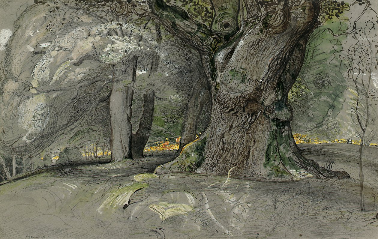 Dub a buk, Lullingstone Park od Samuel Palmer