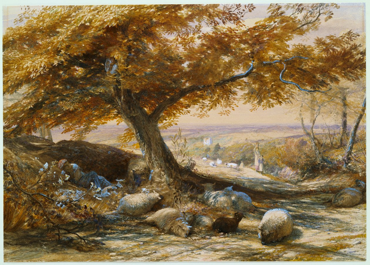 Ovce ve stínu, kolem roku 1851 od Samuel Palmer