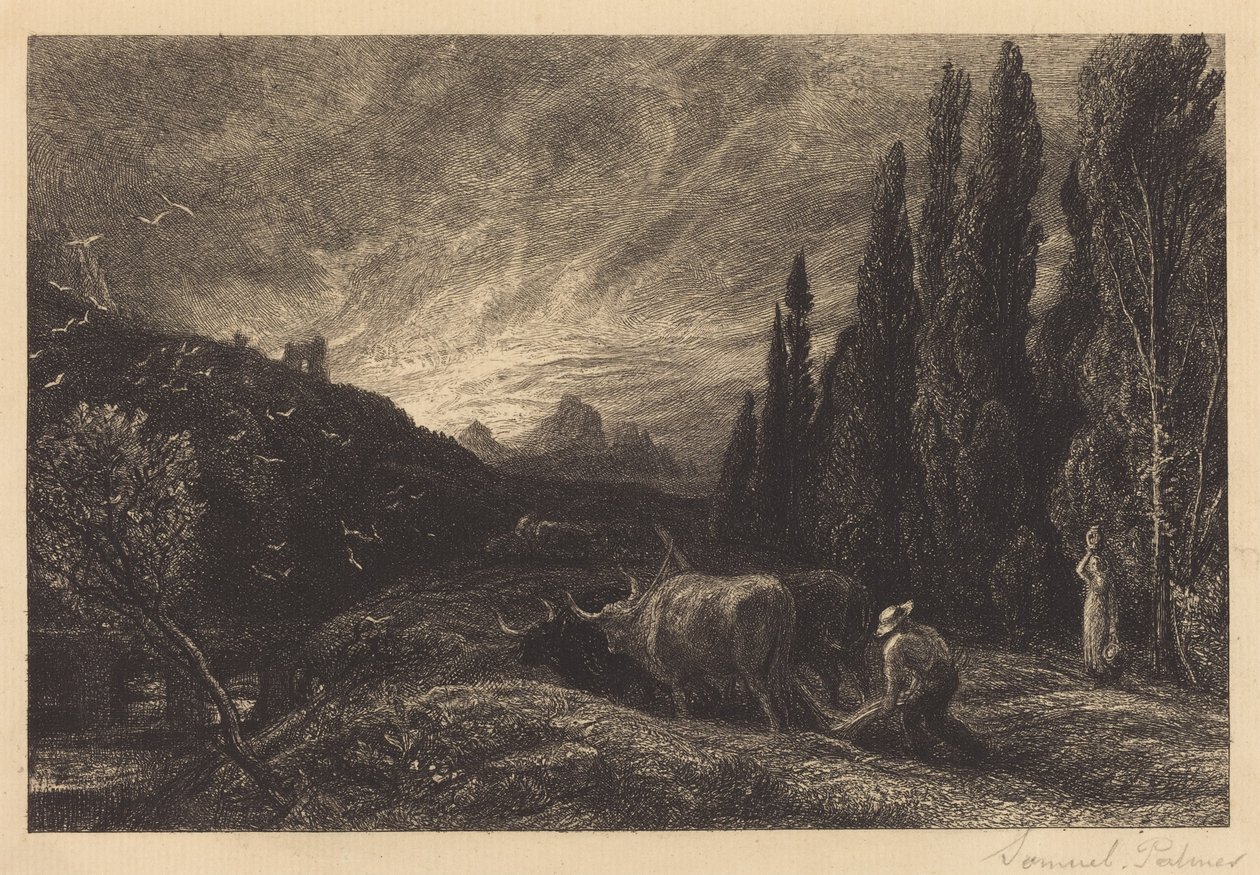 Časný oráč od Samuel Palmer