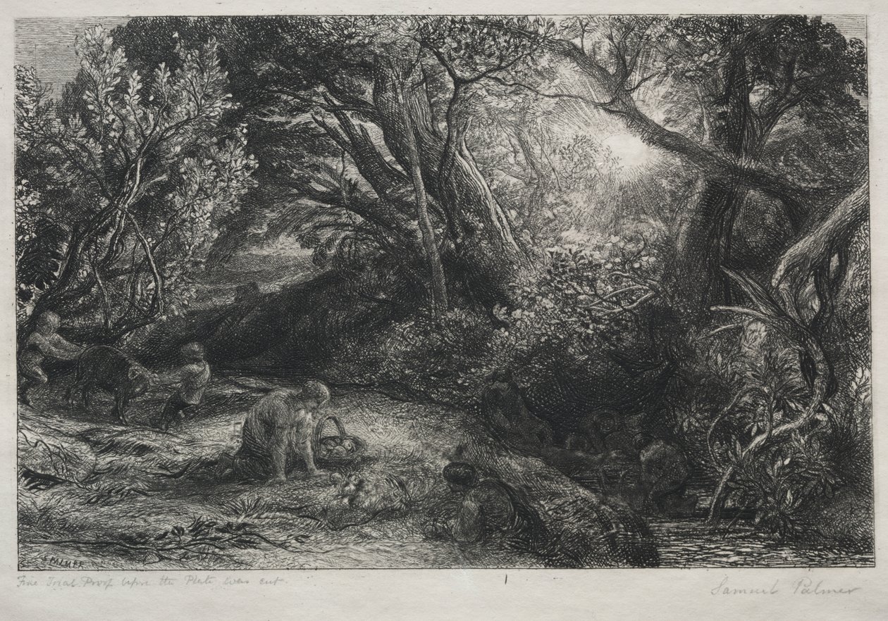 Ráno života od Samuel Palmer