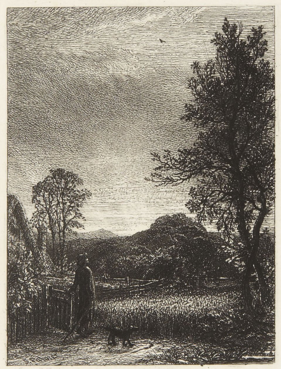 Skřivan od Samuel Palmer