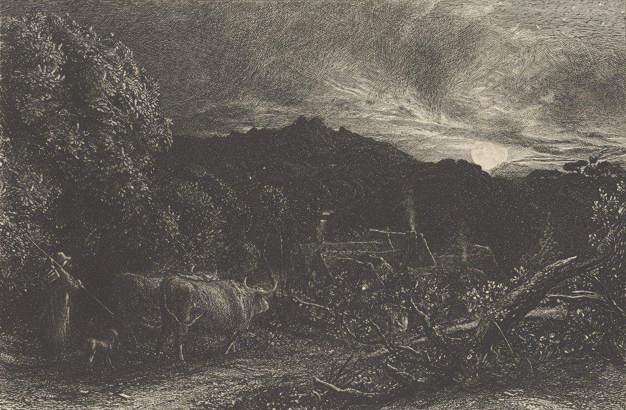 Unavený oráč nebo pastevec nebo Tardus Bubulcus začal v roce od Samuel Palmer