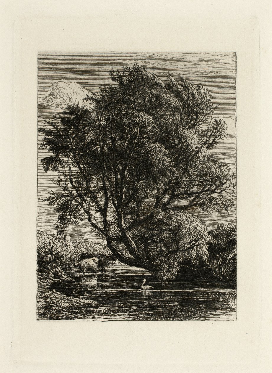 Vrba od Samuel Palmer