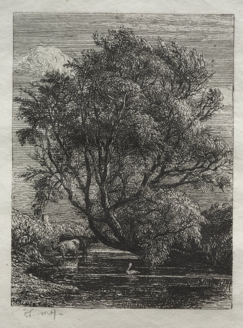Vrba od Samuel Palmer