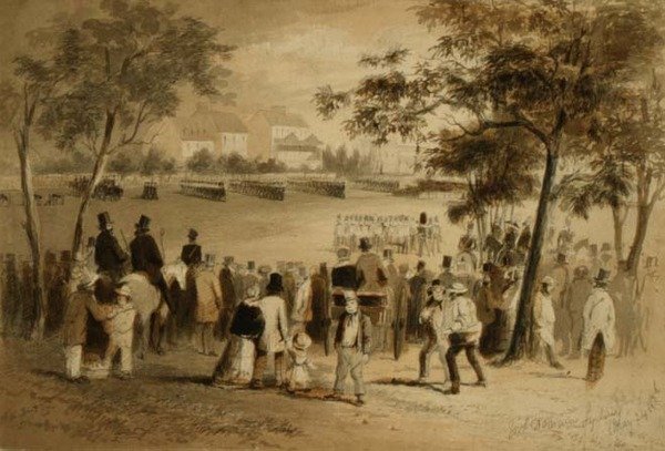 Vládní doména, Sydney od Samuel Thomas Gill