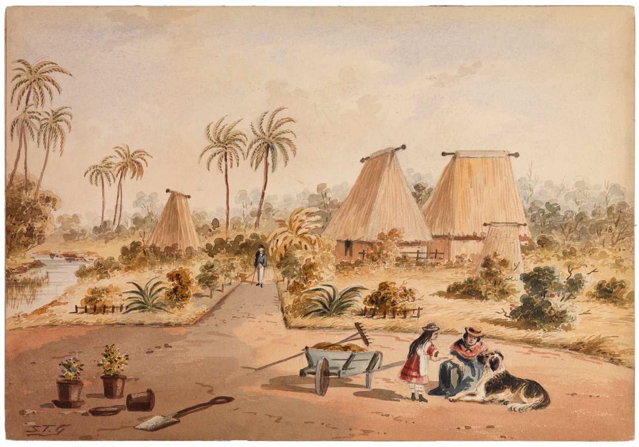 The Homestead, Savu Bay, Fidži, 1870 od Samuel Thomas Gill