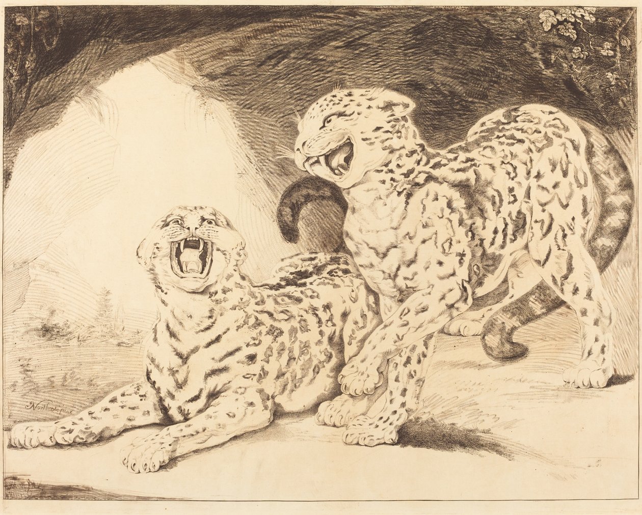 Leopardi od Samuel William Reynolds I after James Northcote