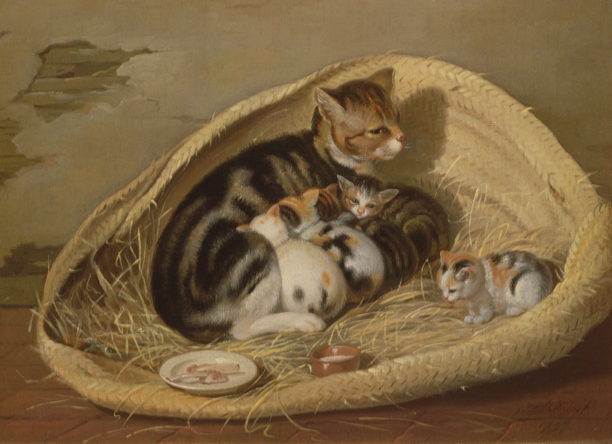 Kočka se svými koťaty v košíku, 1797 od Samuel de Wilde