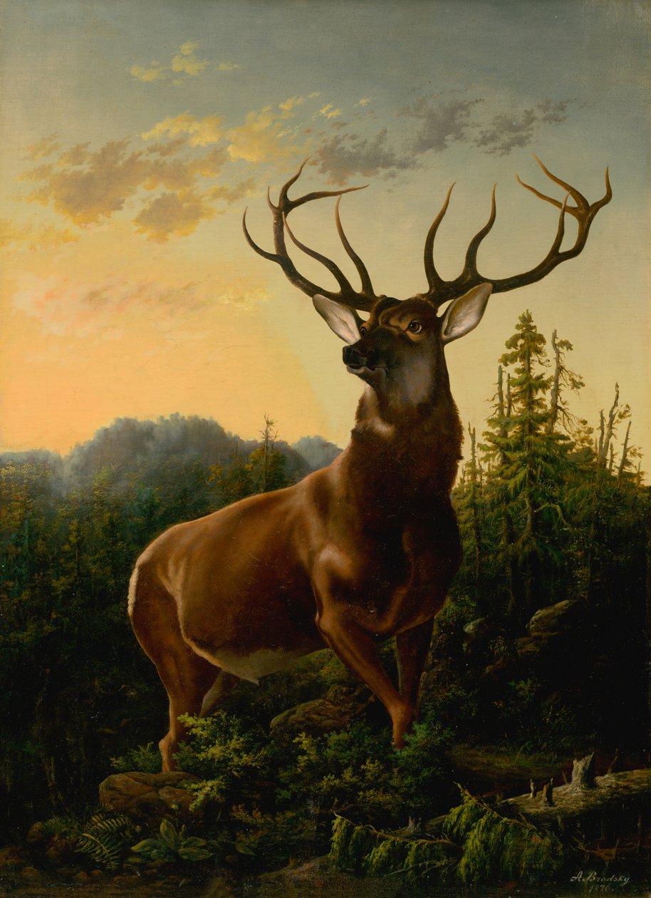 Jelen v lesní krajině, 1876. od Sandor Brodszky