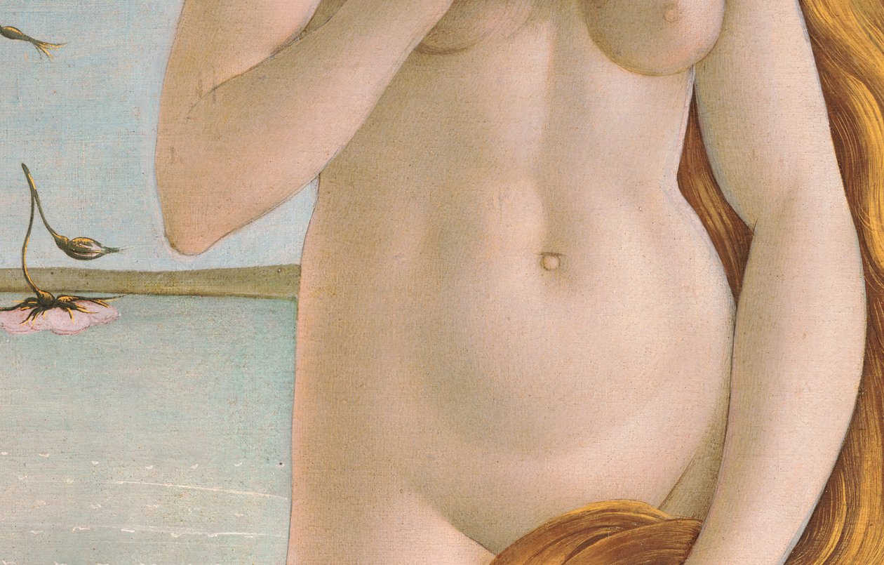 Zrození Venuše, detail torza Venuše, 1484 tempera na plátně detail od Sandro Botticelli