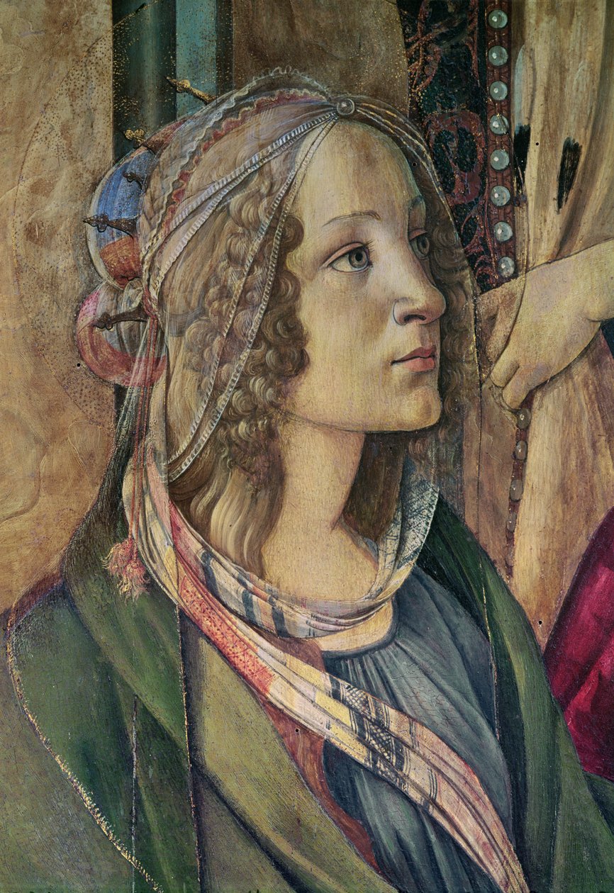 Detail sv. Kateřiny z oltářního obrazu San Barnaba, cca 1488 tempera na panelu od Sandro Botticelli