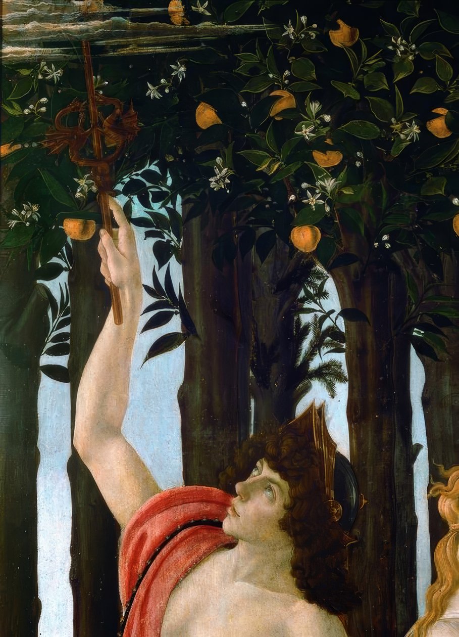 Jaro od Sandro Botticelli