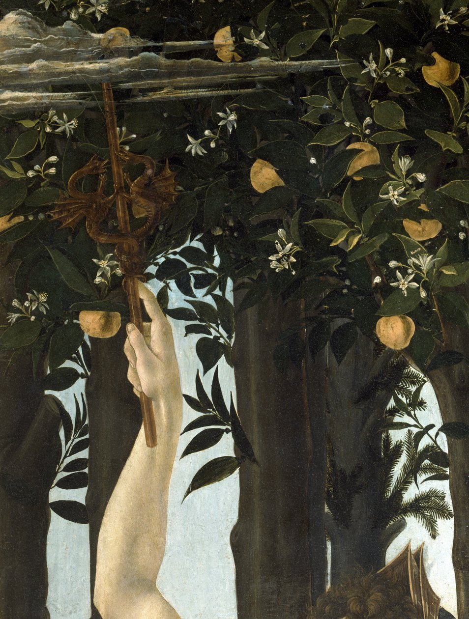 Primavera, c.1478, tempera na detailu panelu z 558 od Sandro Botticelli
