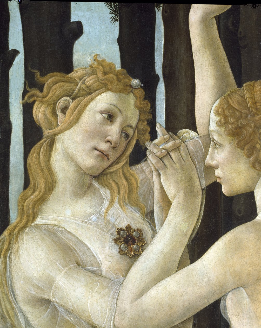 Primavera, c.1478, tempera na detailu panelu z 558 od Sandro Botticelli