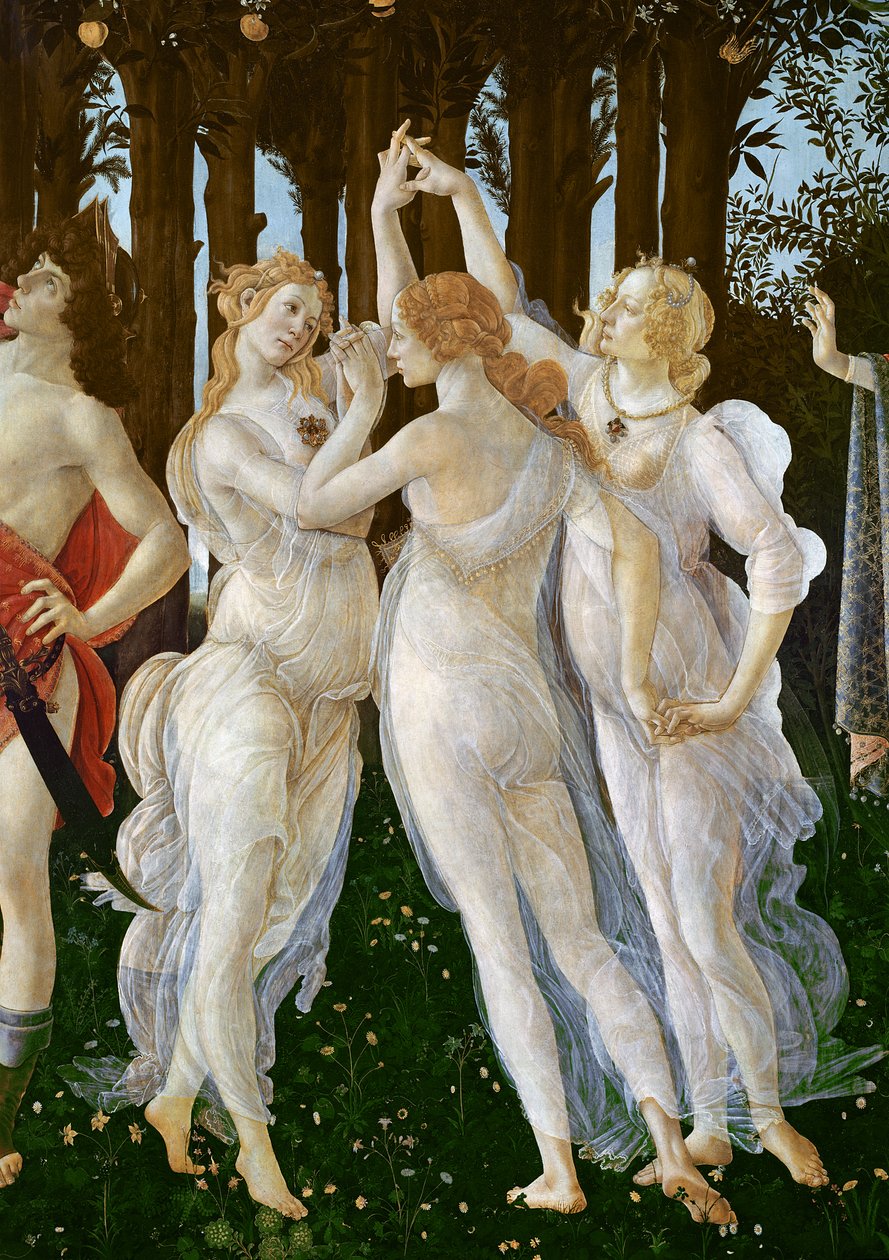 Primavera, c.1478,tempera na detail panelu 558 od Sandro Botticelli