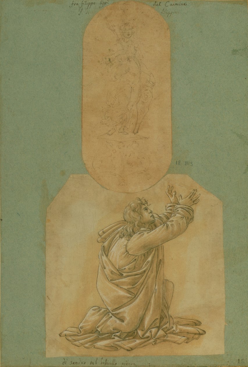 Studie sv. Tomáše (kresba) od Sandro Botticelli