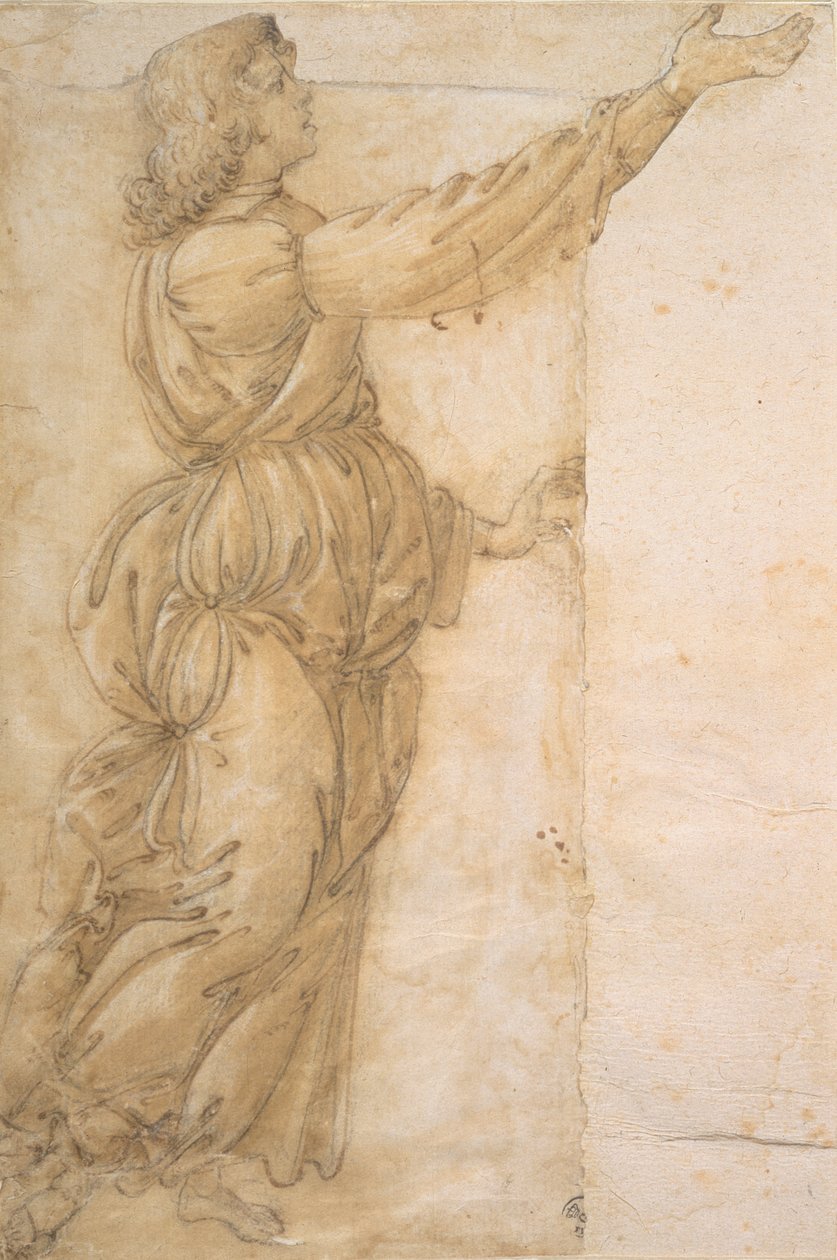 Studie anděla (kresba) od Sandro Botticelli