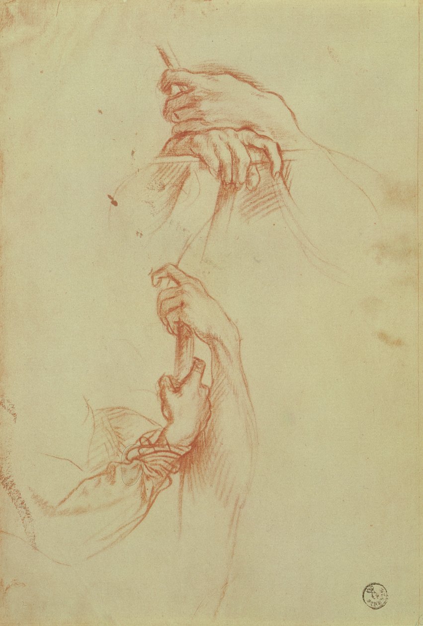 Dvě studie páru rukou mladého muže (červená křída) od Sandro Botticelli