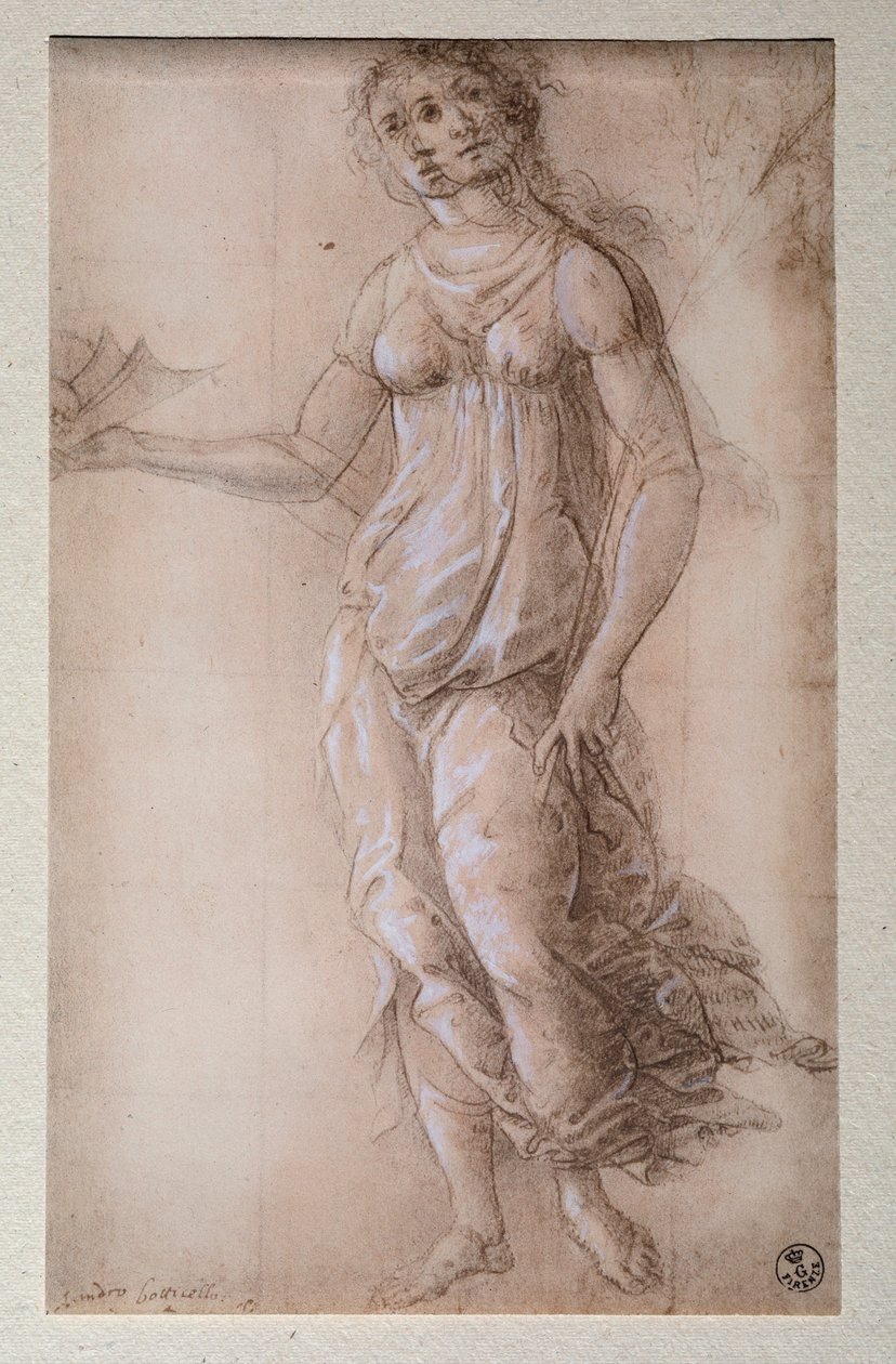 Pallas (kresba, po 1491) od Sandro Botticelli