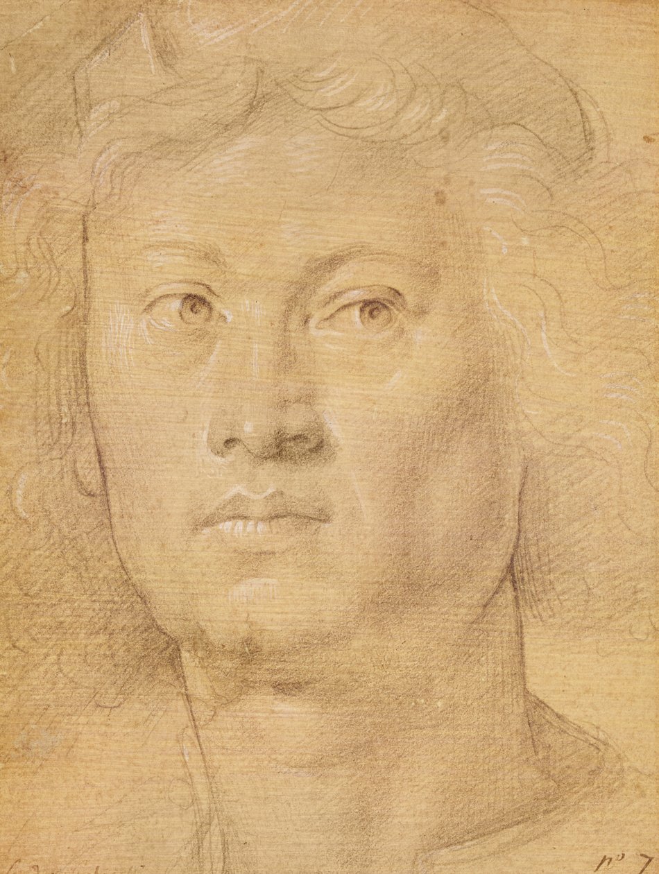 Hlava anděla (tužka a pastel na papíře) od Sandro Botticelli