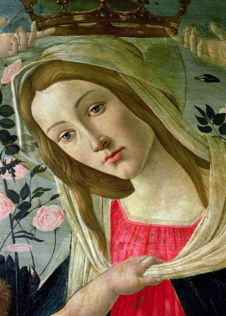 Madona s dítětem korunovaná anděly, detail Madony olej na desce od Sandro Botticelli