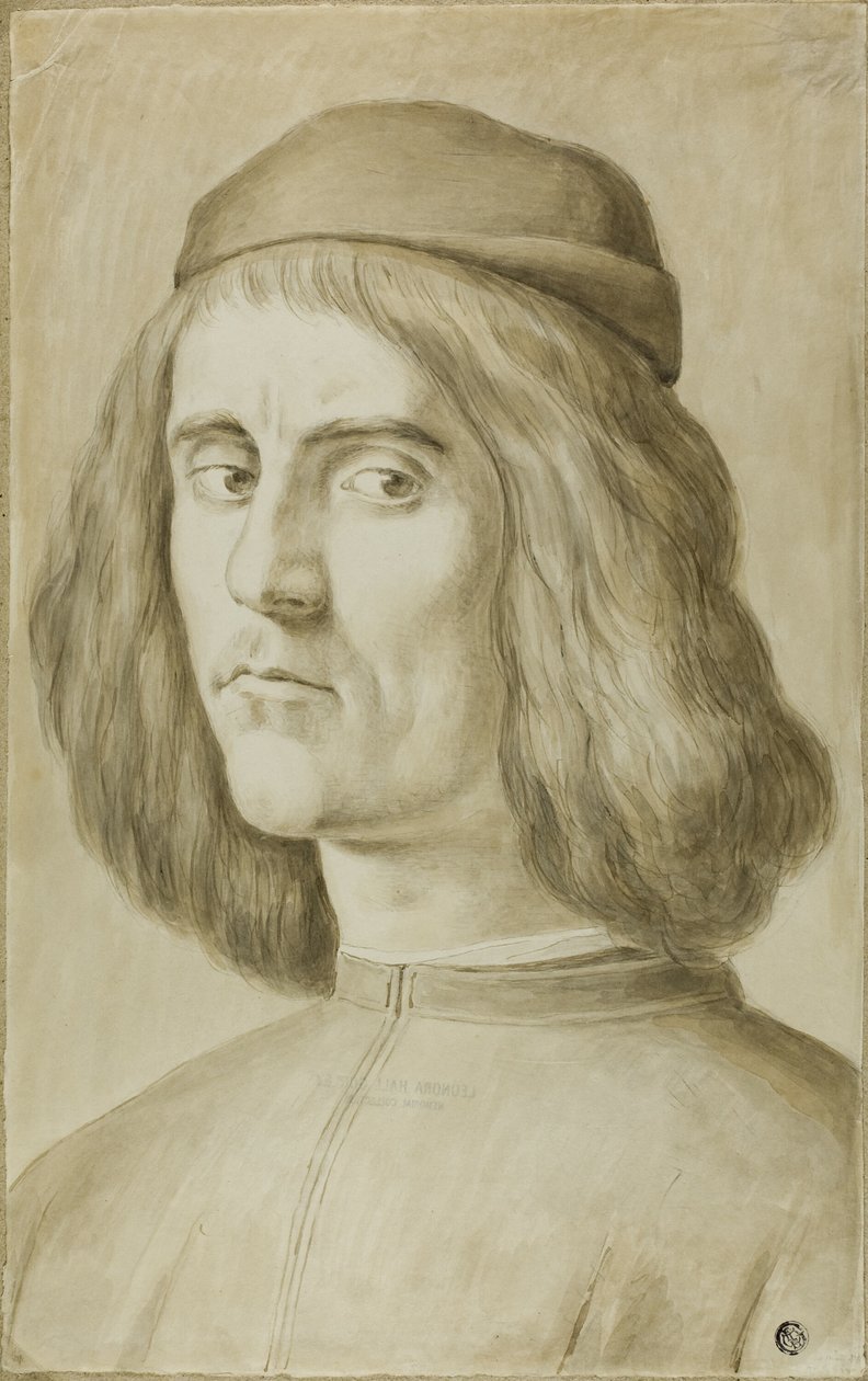 Portrét Busta mladého muže od Sandro Botticelli