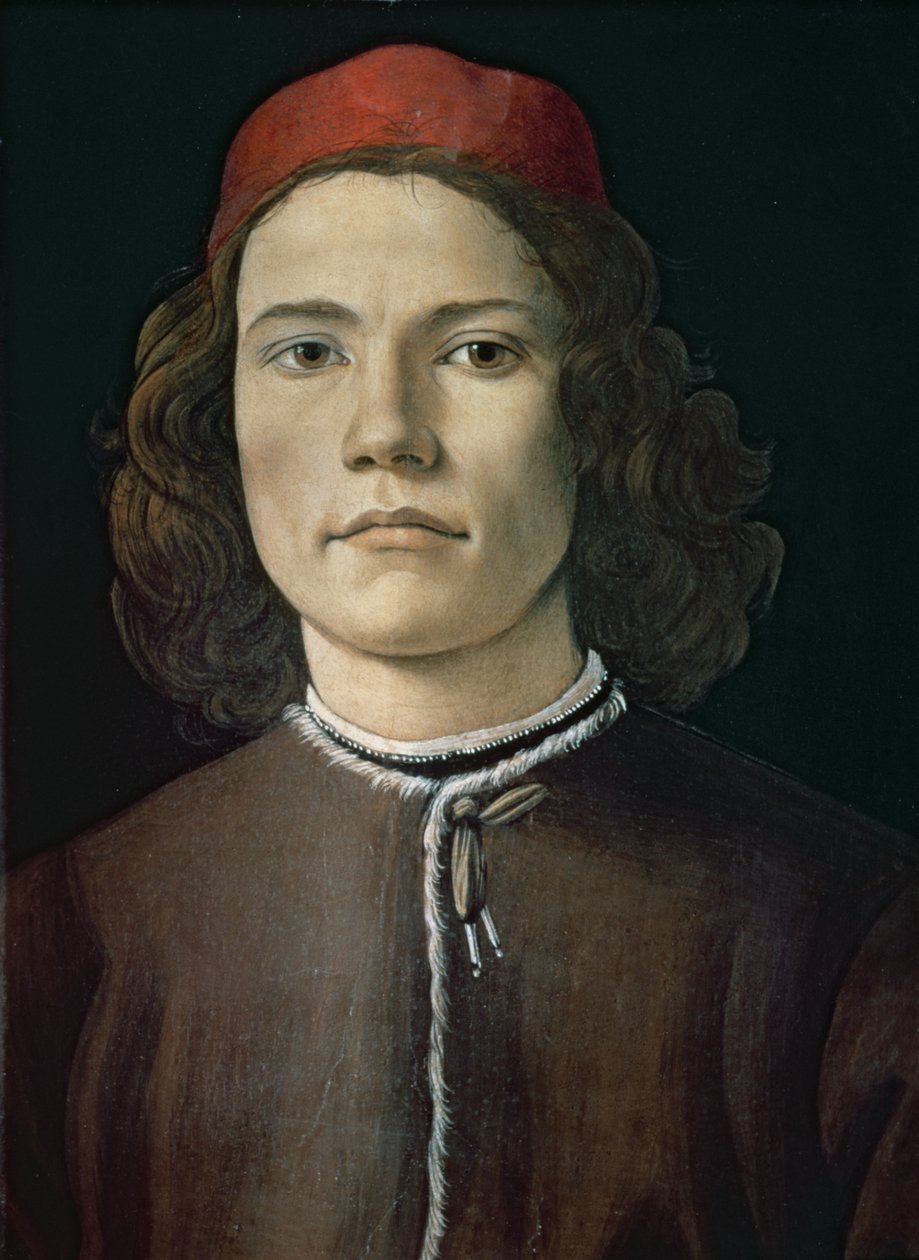 Portrét mladého muže, cca 1480-85 (tempera a olej na panelu) od Sandro Botticelli