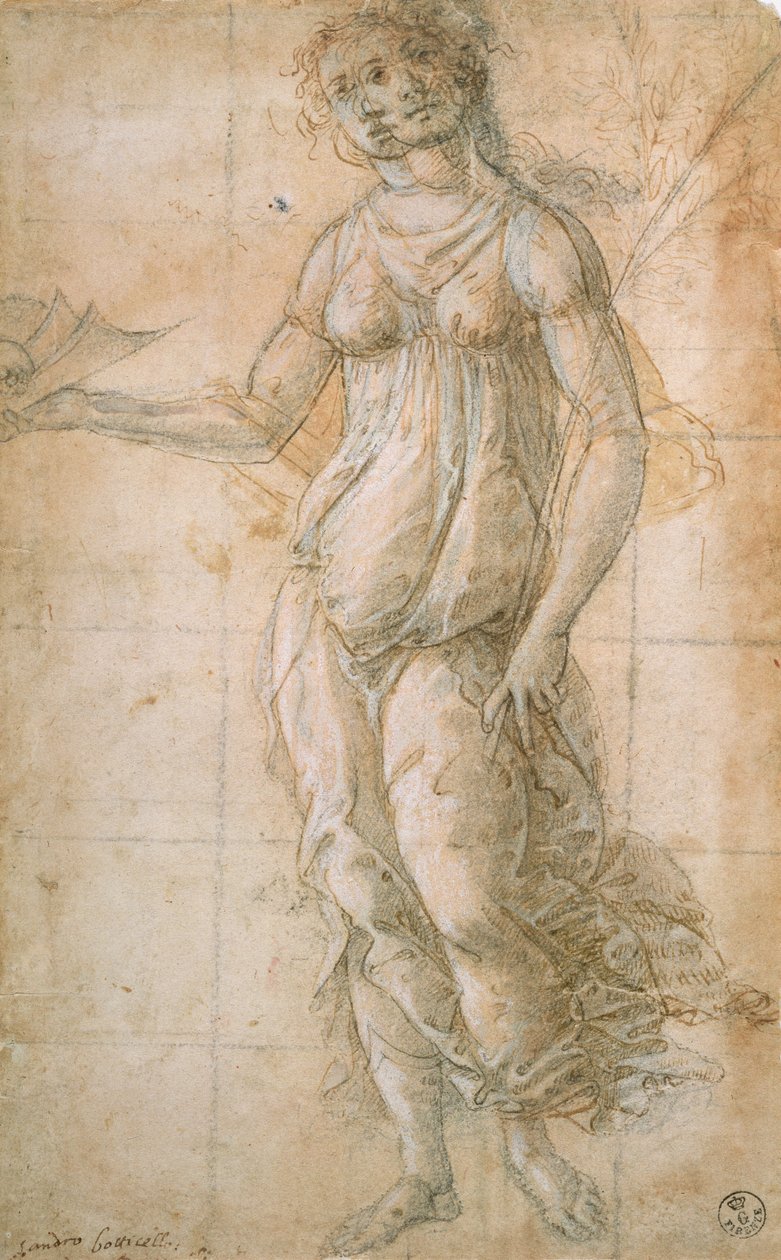 Studie Athény (kresba) od Sandro Botticelli